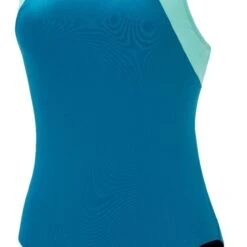 Dolfin Women's Color Block Moderate Lap Suit