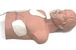 Simulaids Sani Adult Manikin